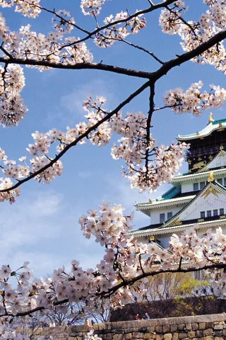 Nagoya castle