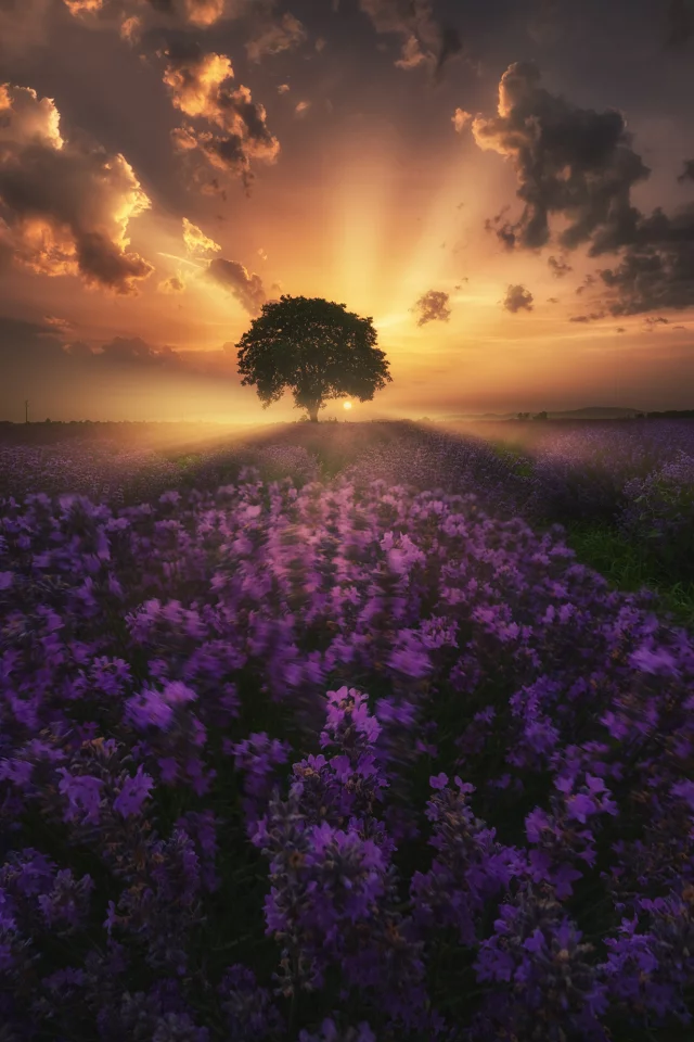 природа