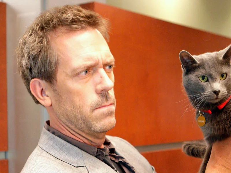 Hugh Laurie