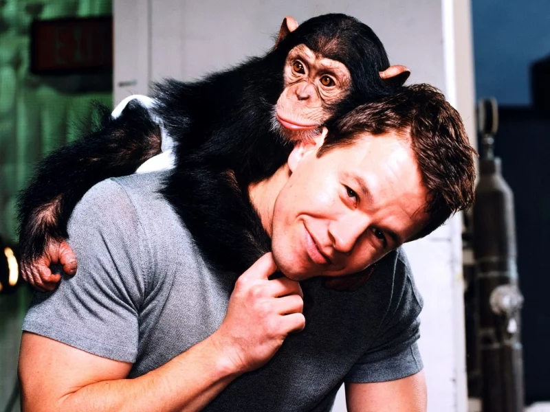 Mark Wahlberg