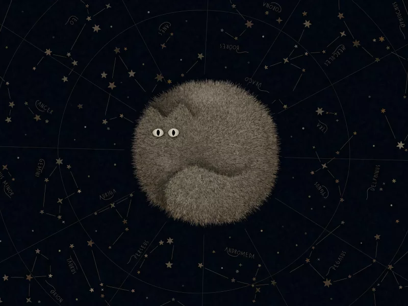кот