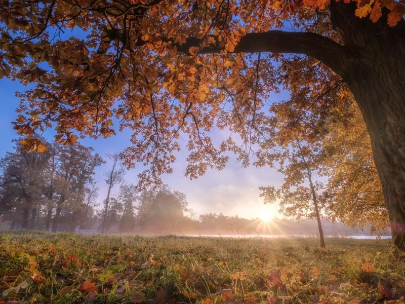 природа