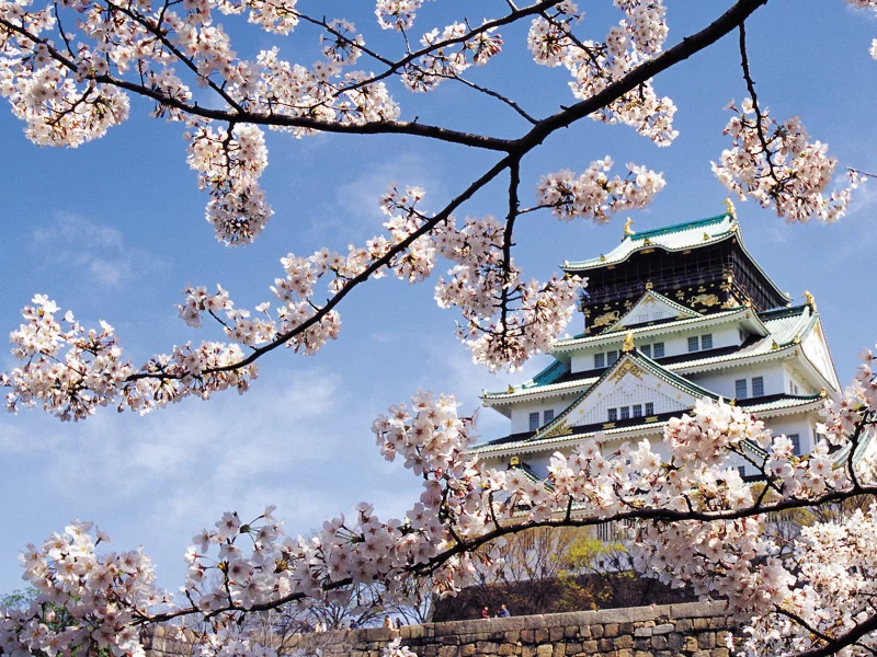 Nagoya castle
