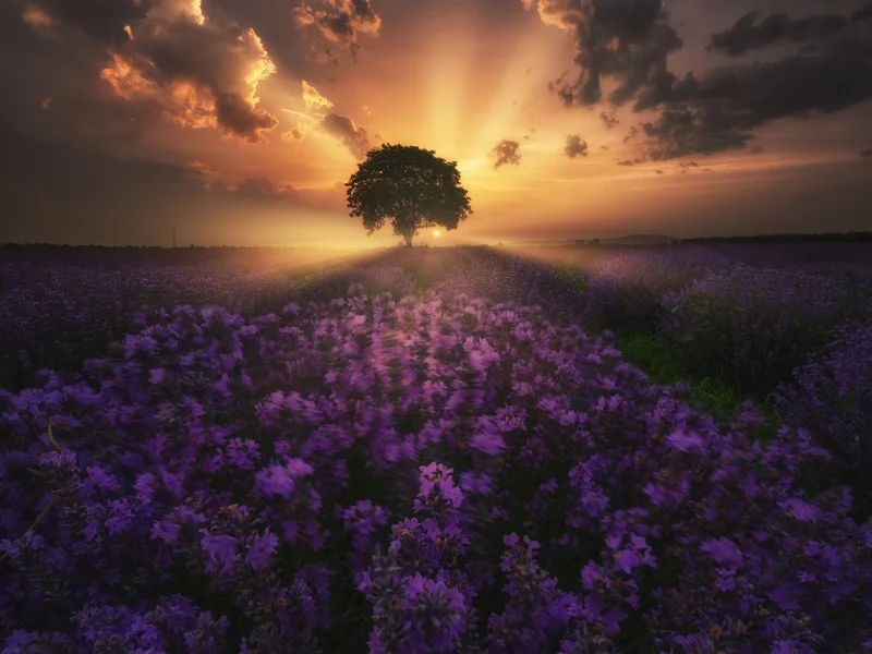 природа