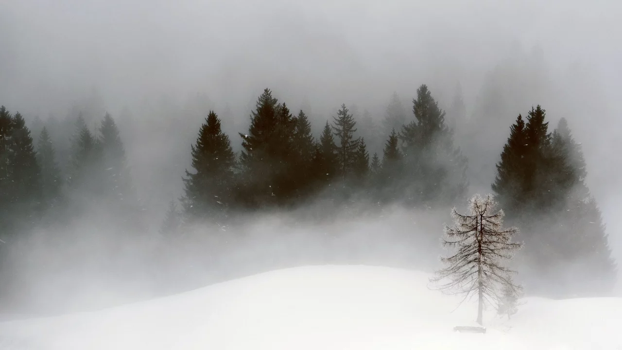 зима