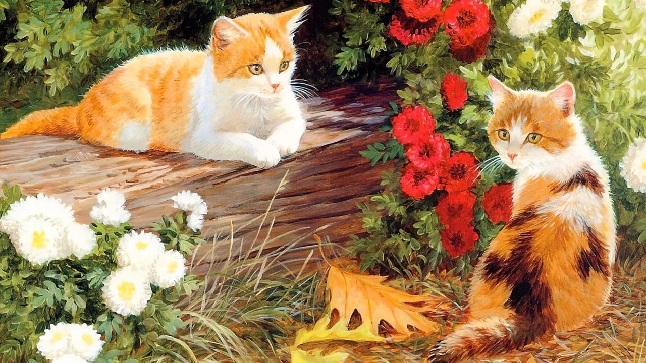 котята