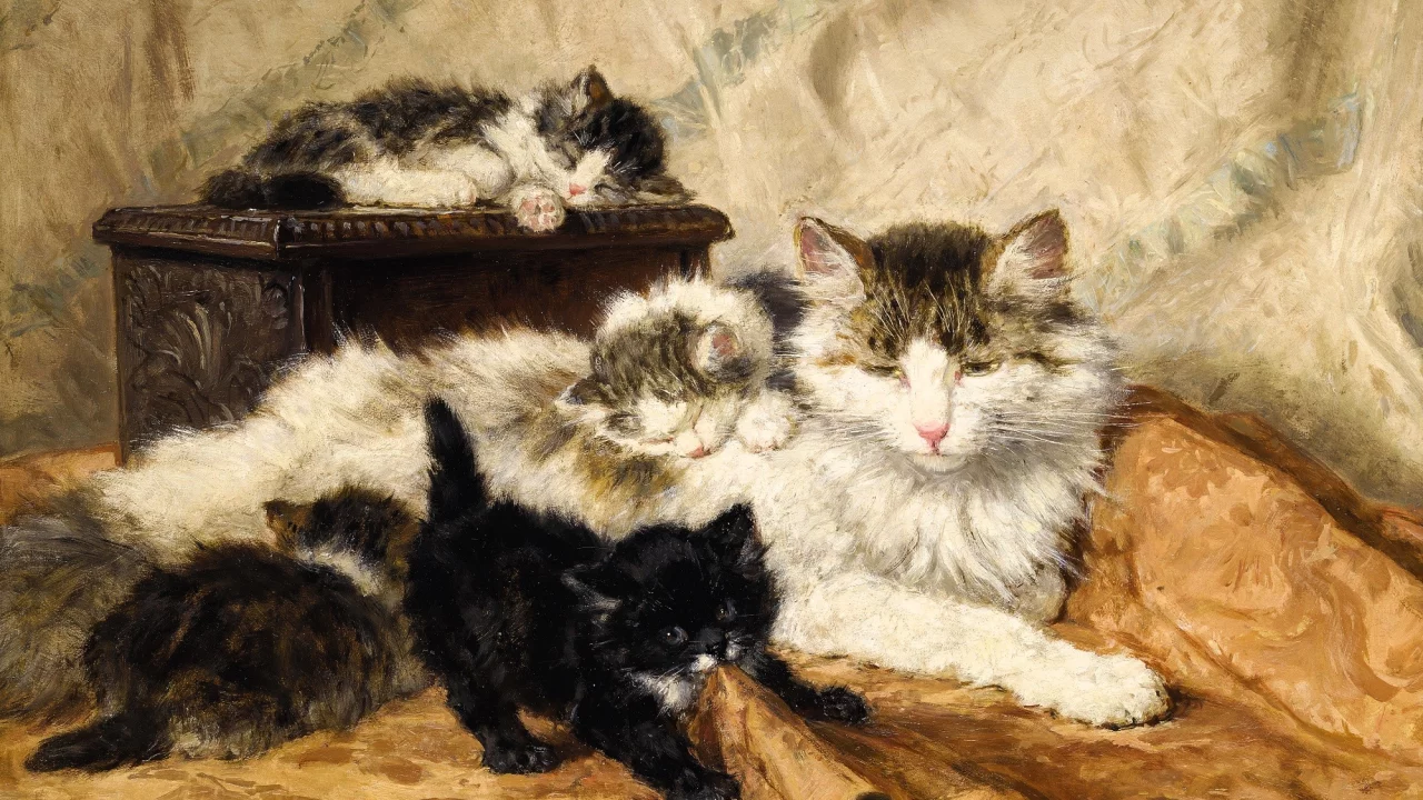 Henriette Ronner-Knip