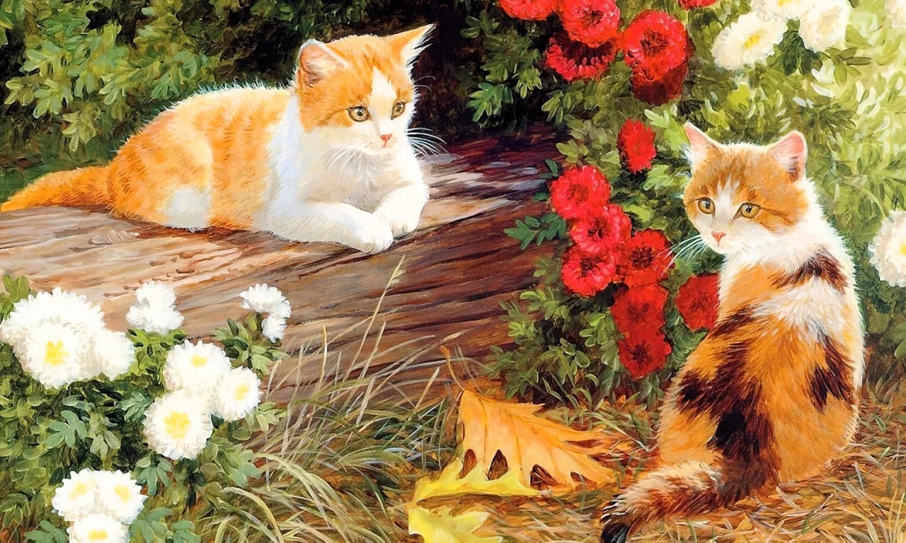 котята