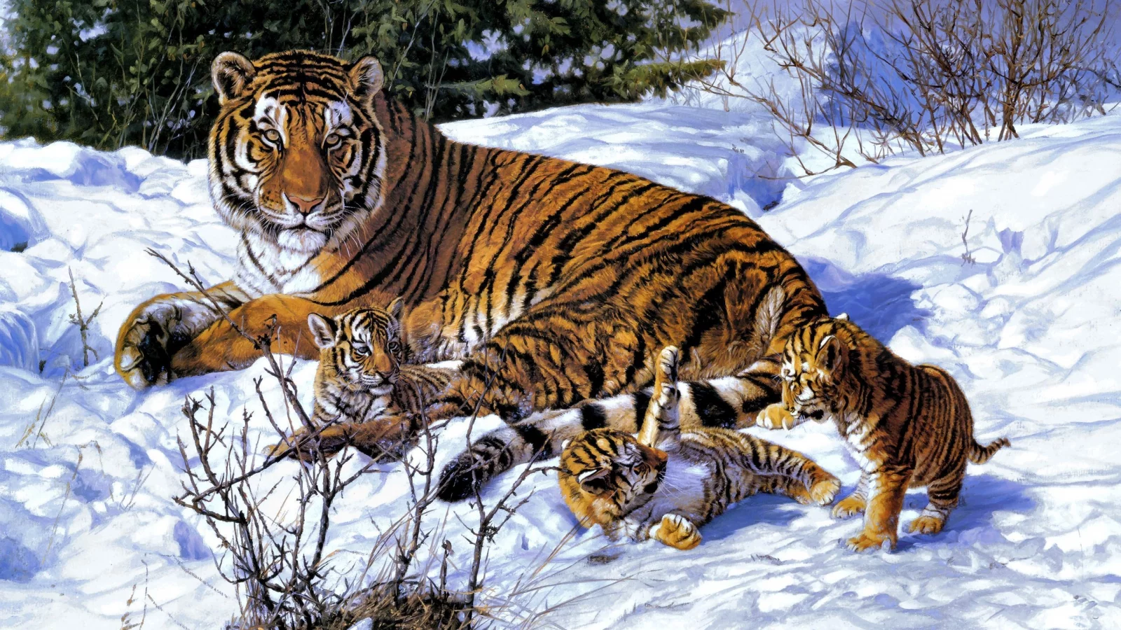 Тигры
