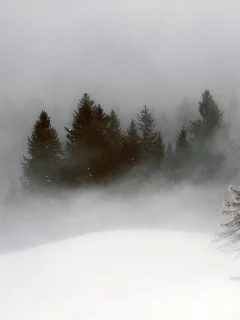 зима