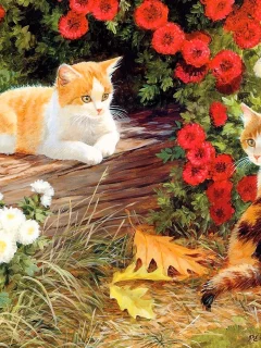 котята