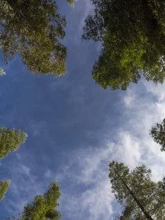 небо