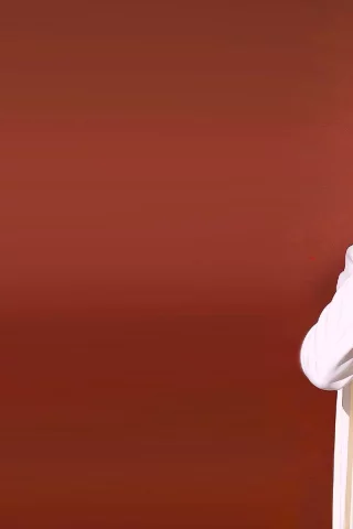 Сяо Чжань