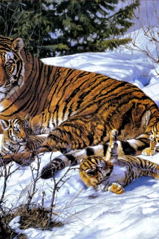 Тигры