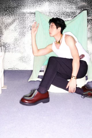 Cheng Lei