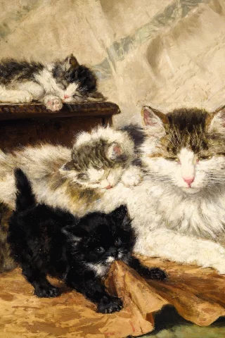 Henriette Ronner-Knip