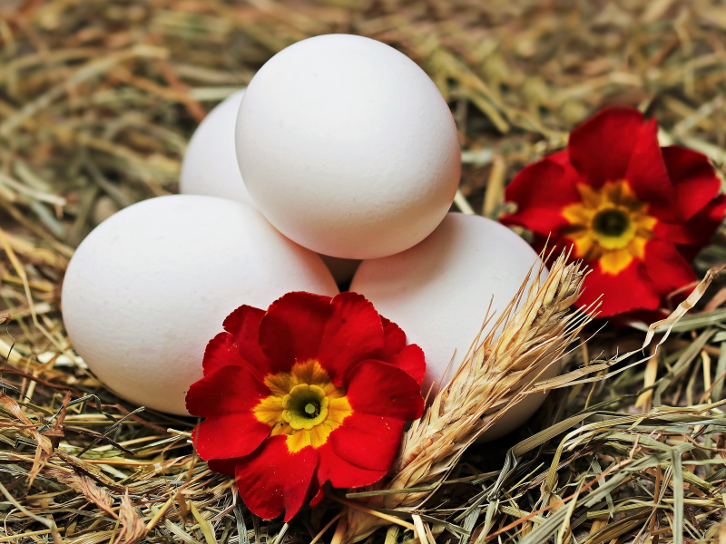 Яйца и цветы