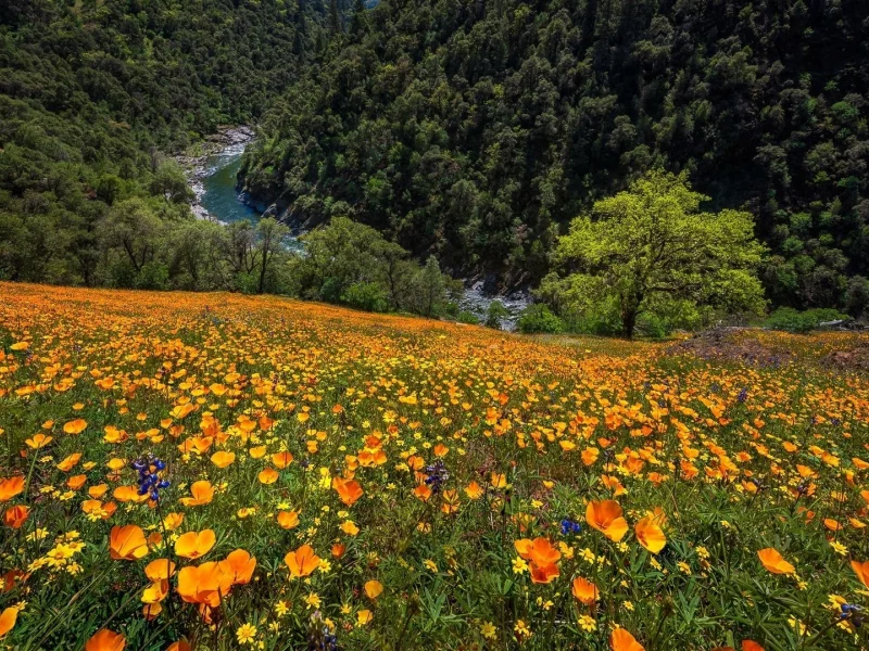 Naturaleza