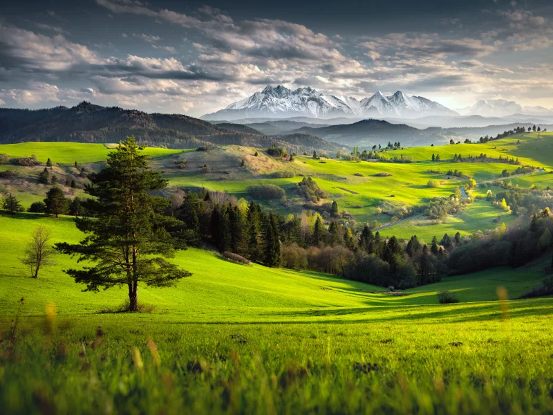 Naturaleza