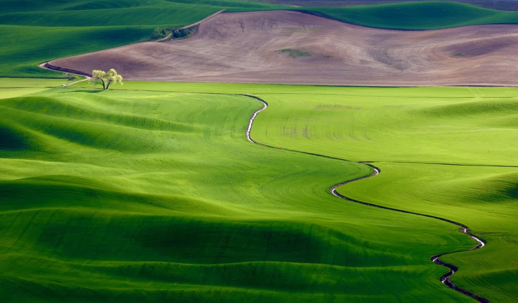 панорама