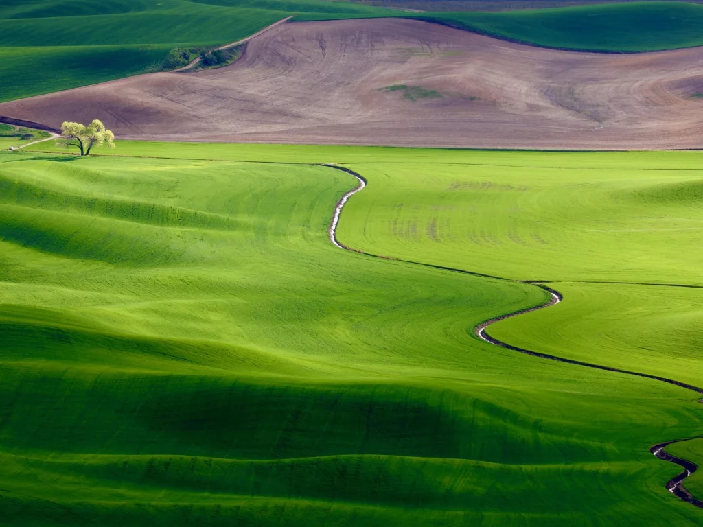 панорама