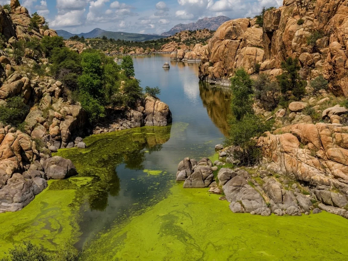 Naturaleza