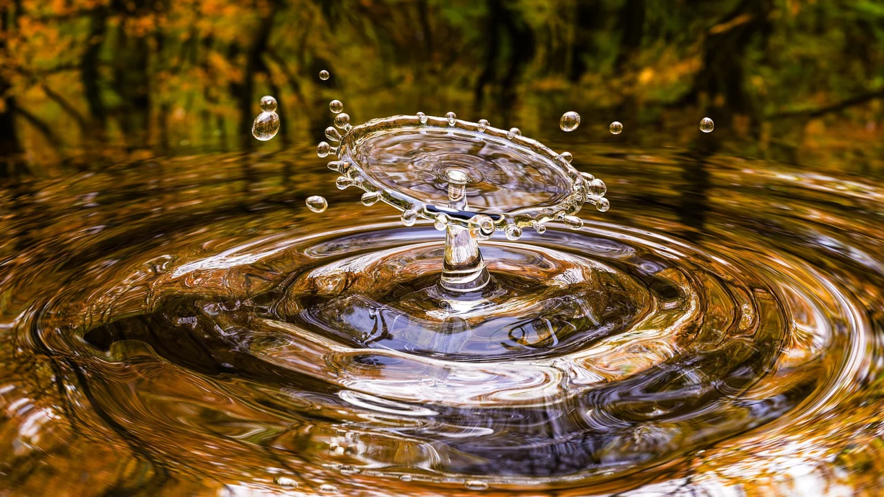 Gota