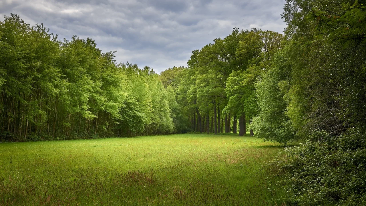 Naturaleza