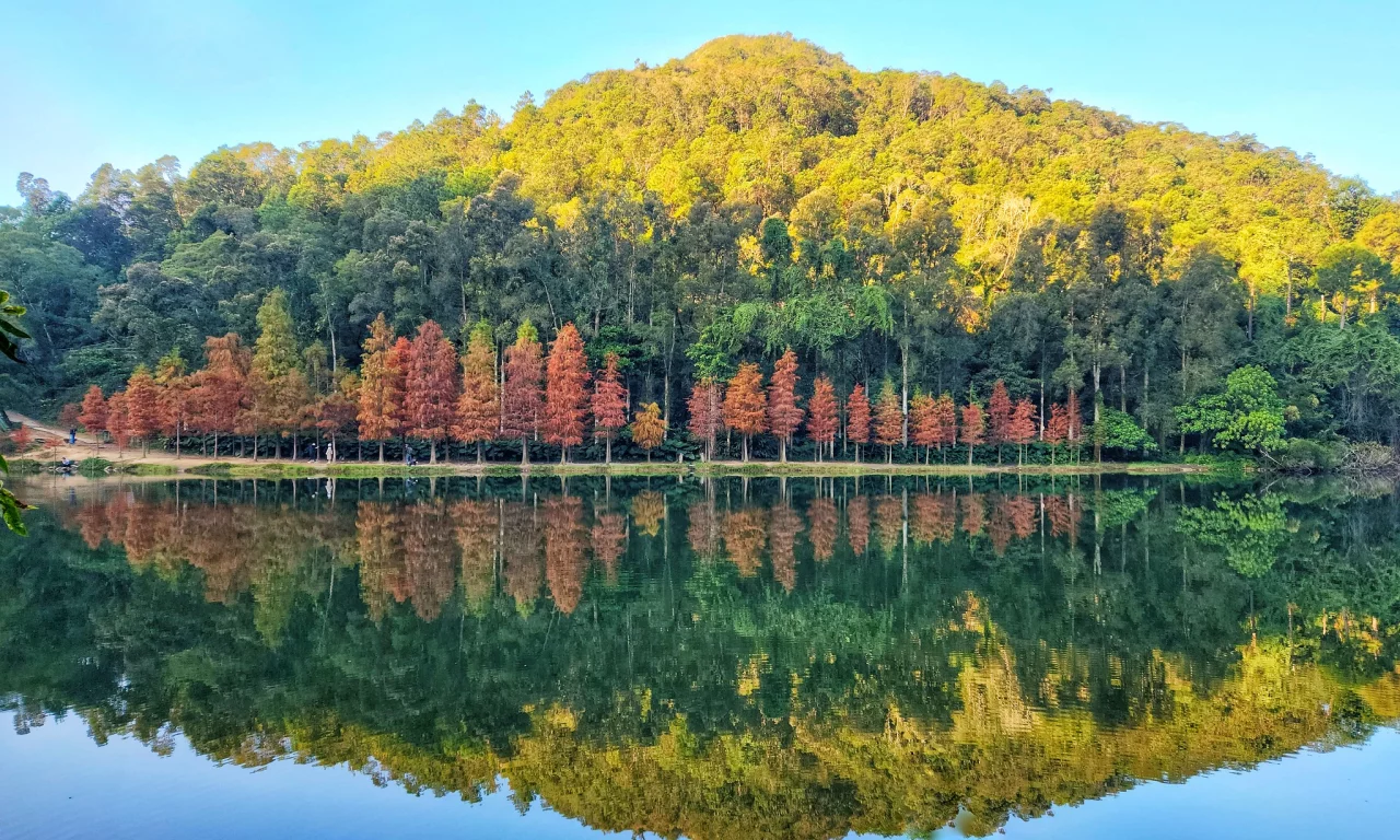 осень