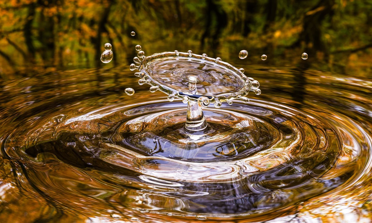 Gota
