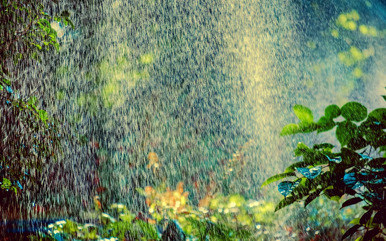 ливень