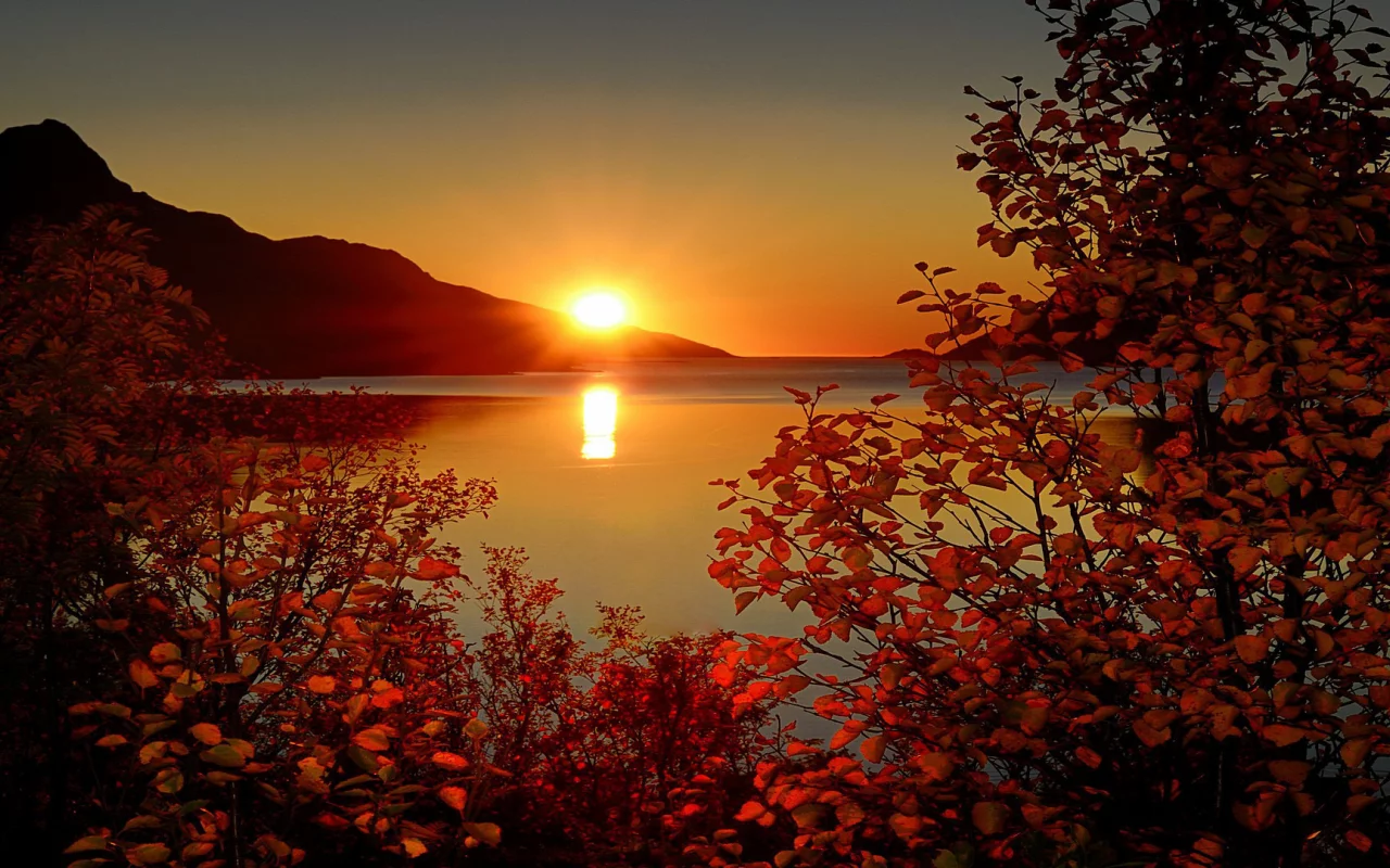 природа