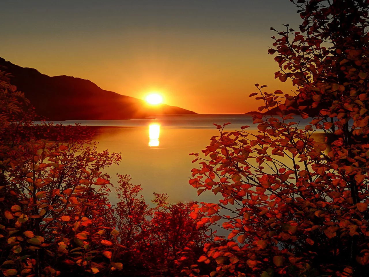 природа