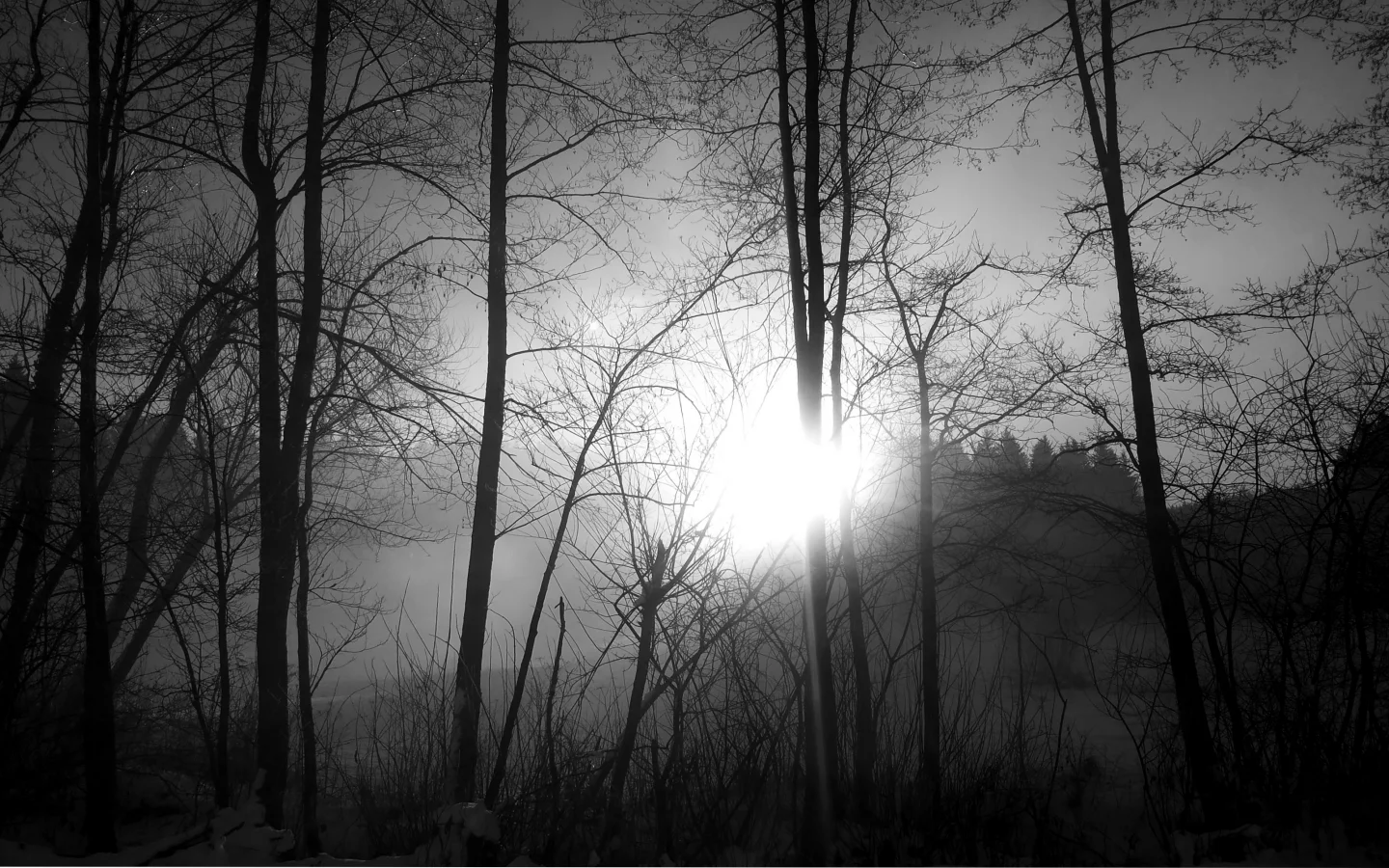 природа