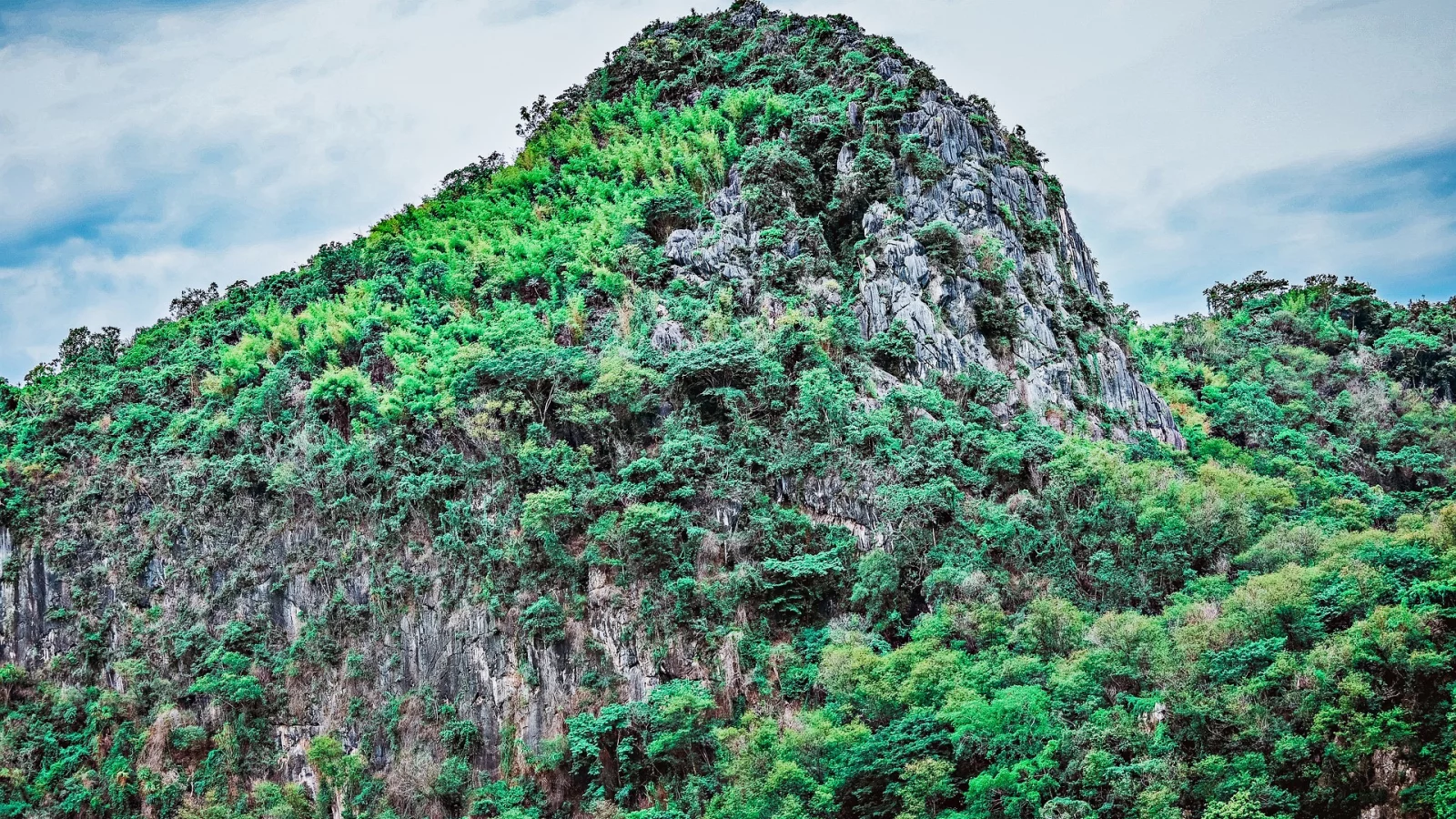 Naturaleza