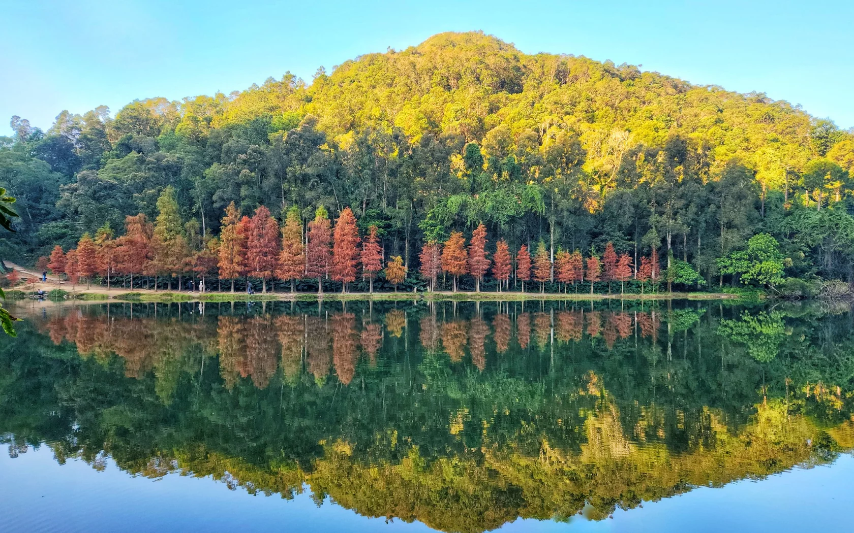 осень