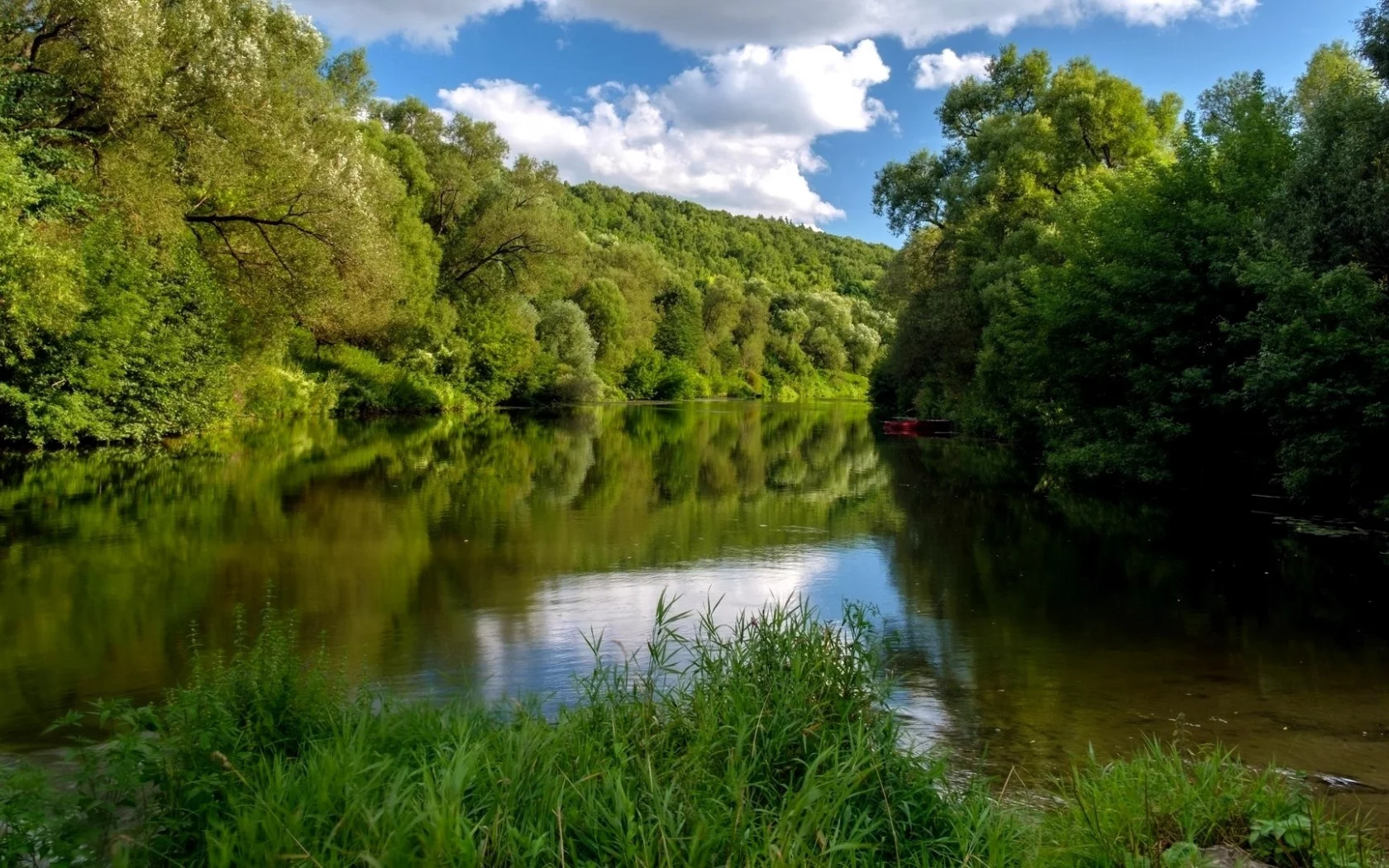 Naturaleza