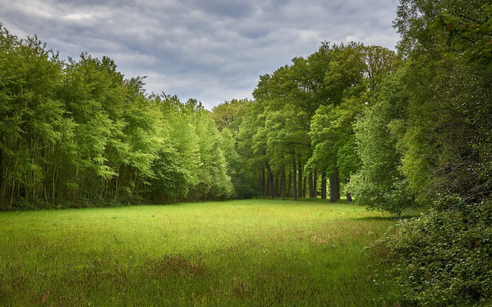 Naturaleza