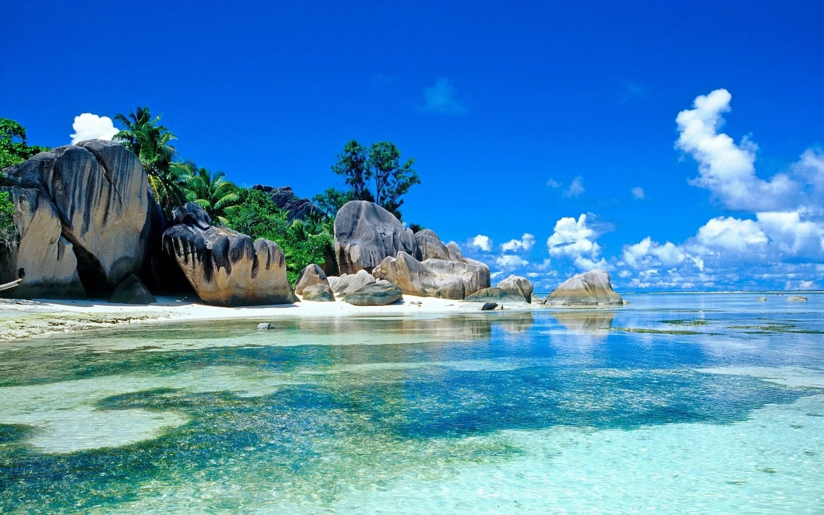 Naturaleza