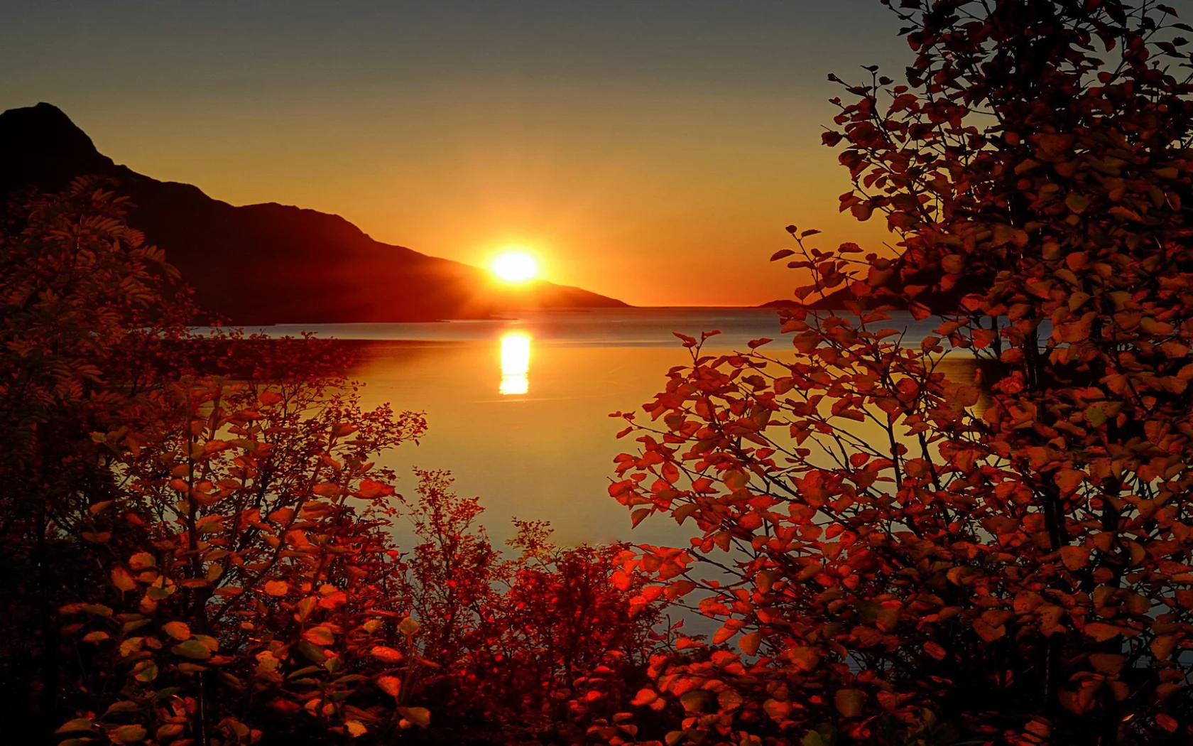 природа