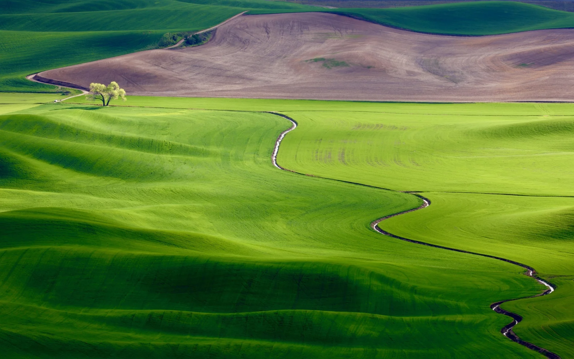 панорама