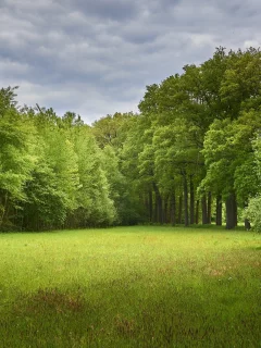 Naturaleza