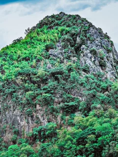 Naturaleza