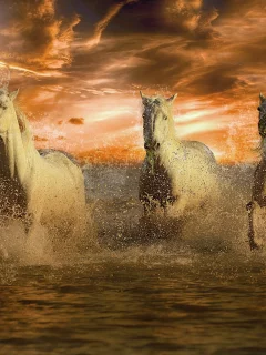 Caballos