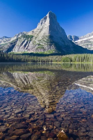 Naturaleza