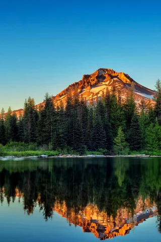 Naturaleza