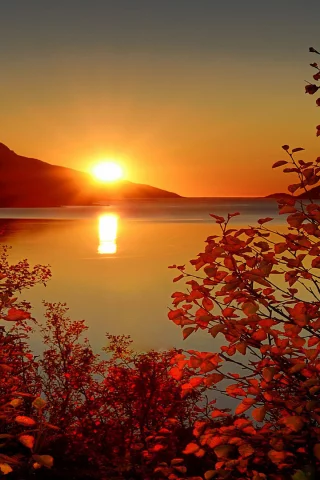 природа
