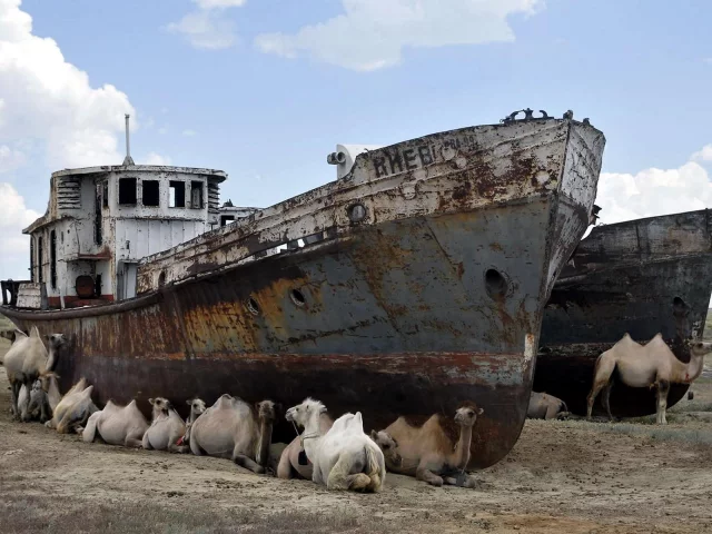 Верблюды и корабль