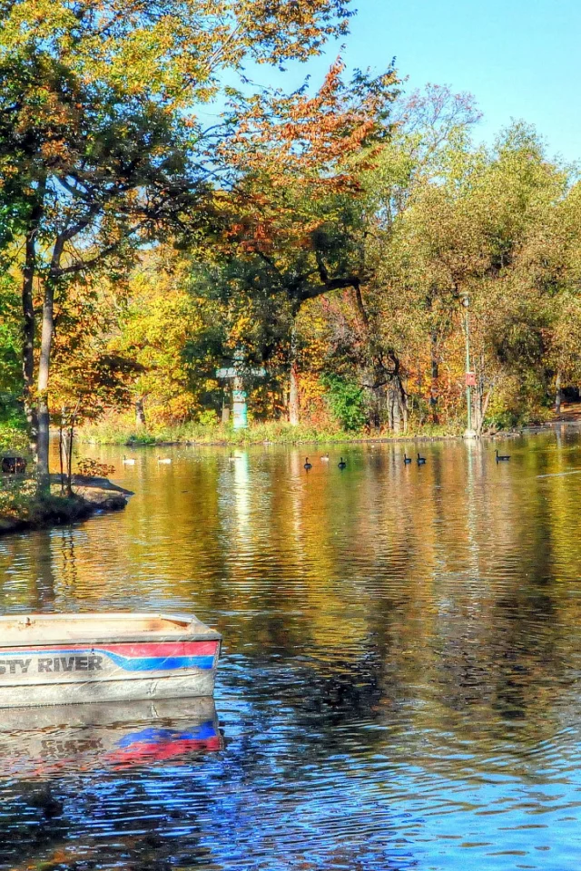 осень
