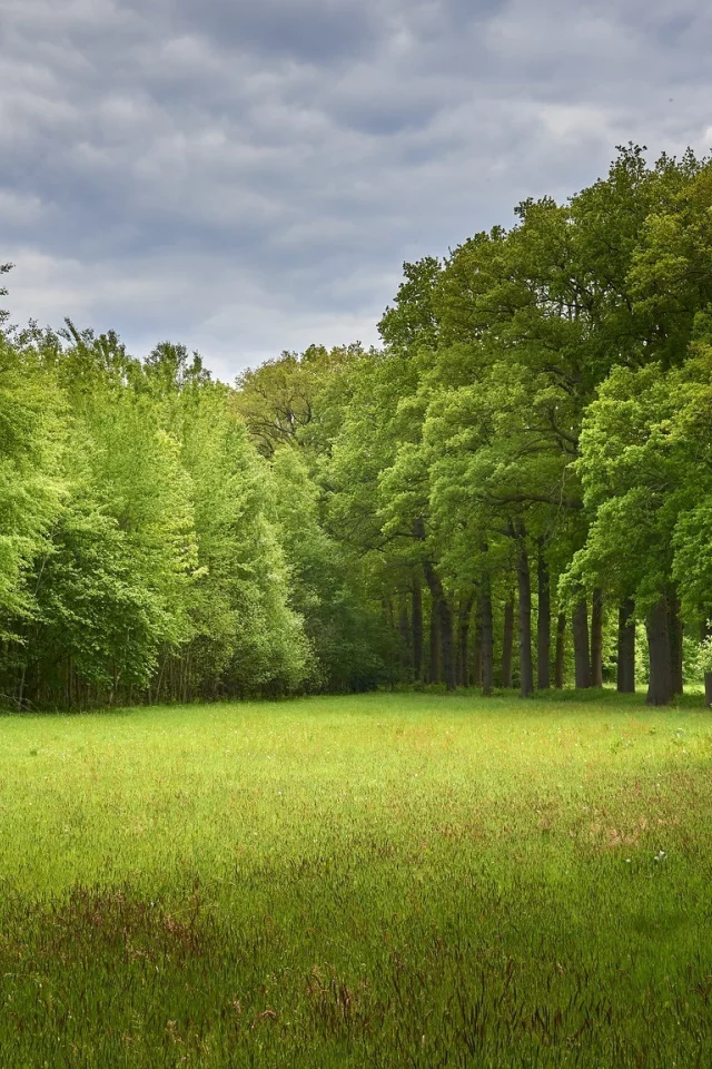 Naturaleza